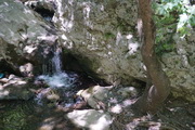 Bachlauf in der Antonios Schucht